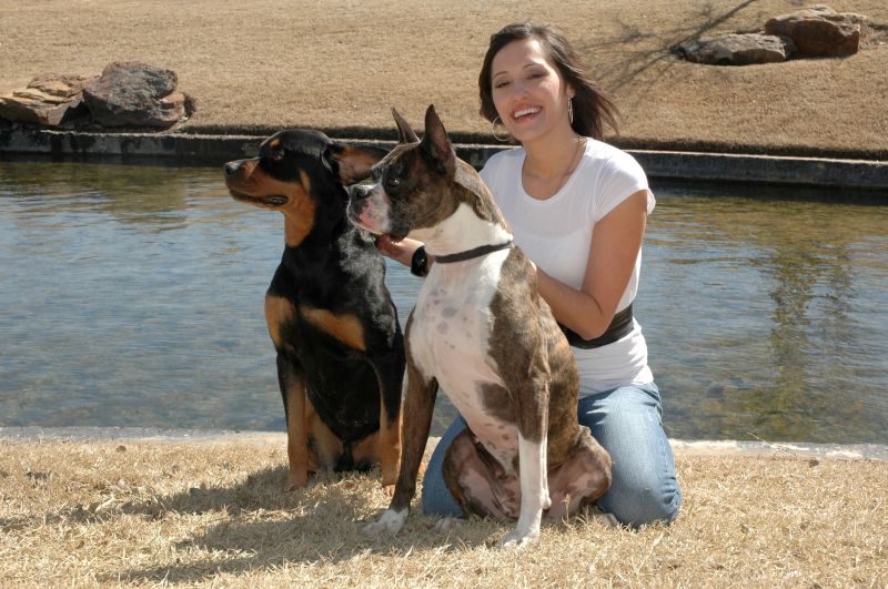 Build trust and communication with your dog